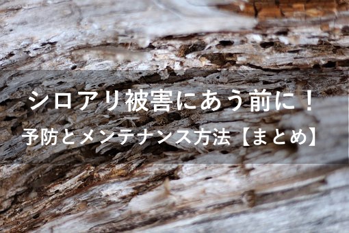 f:id:hiro-secondwork:20201023002529j:plain f:id:hiro-secondwork:20201023002529j:plain